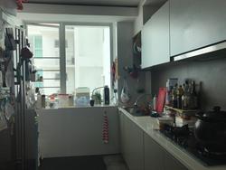 Blk 273B Natura Loft (Bishan), HDB 5 Rooms #143102232